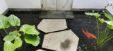 зN ڨqComoQQ Uma Ubud10
