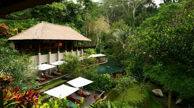 зN ڨqMaya Ubud 3