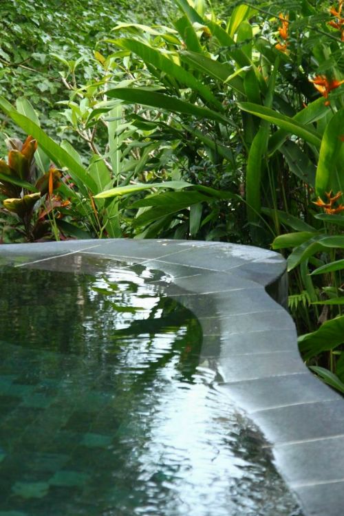 зN ڨqMaya Ubud 14