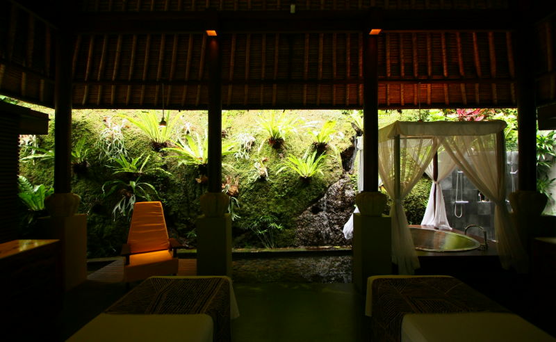 зN ڨqMaya Ubud 18