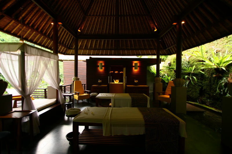зN ڨqMaya Ubud 20